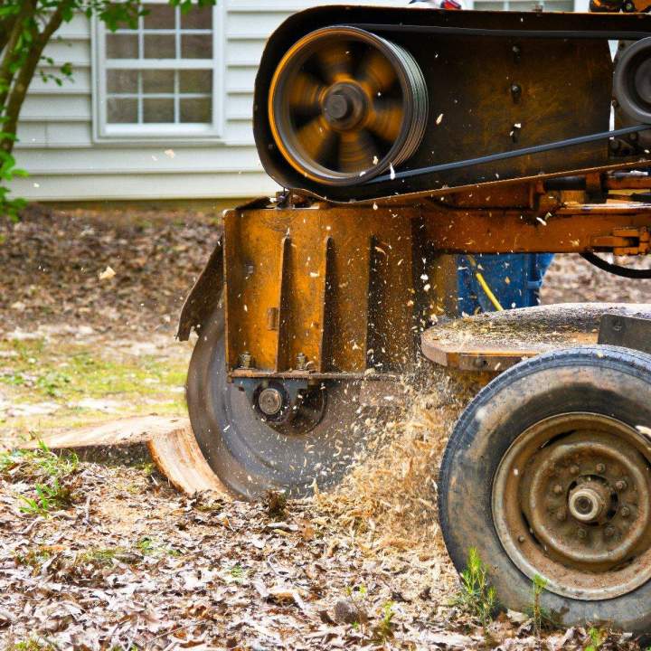 Professional Stump Removal Services in Oshawa and surrounding areas for a Clearer Landscape.