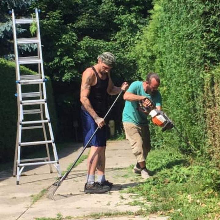Enhance Your Landscape with Professional Hedging Services in Oshawa and surrounding areas.