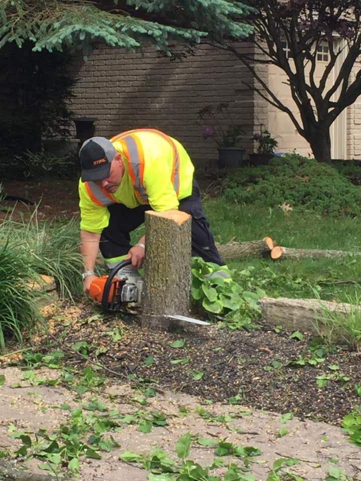 Stump Grinding Oshawa