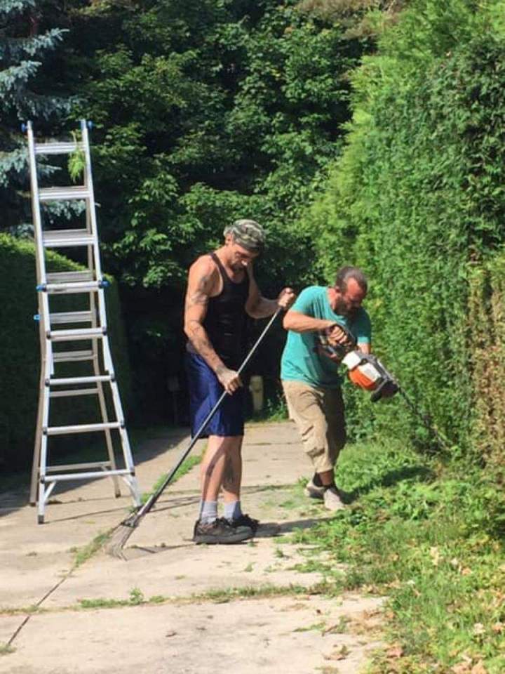Hedging Services Oshawa