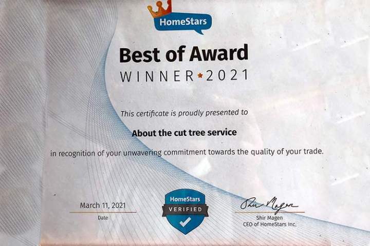 Best of Award WINNER 2021
