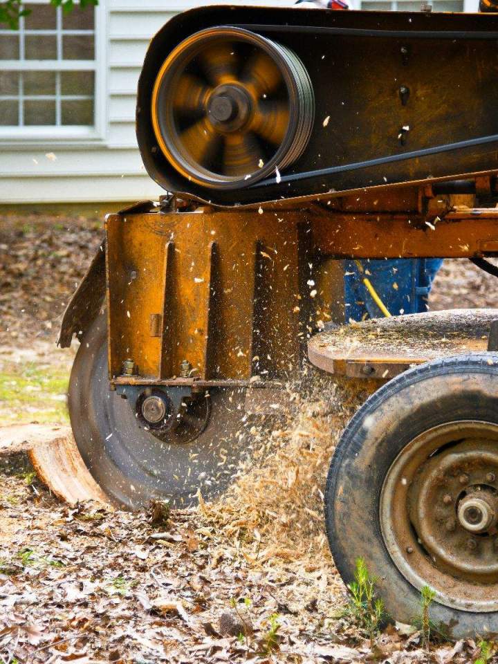 Stump Removal Service Oshawa