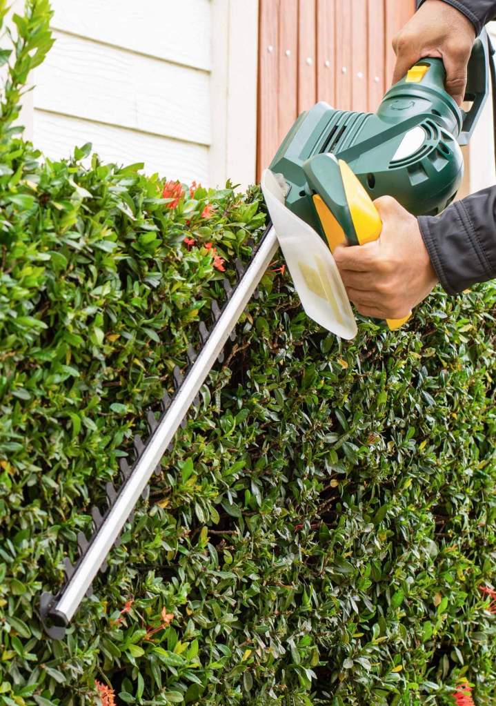 Hedge Reshaping Oshawa