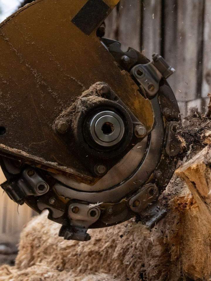 Stump Grinding Oshawa